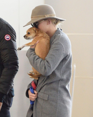 Jennifer Lawrence pic #993830