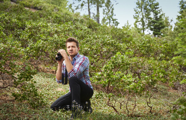 Jeremy Renner pic #1168739