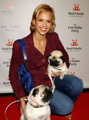 photo 3 in Jessica Alba gallery [id35702] -0001-11-30 00:00:00