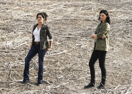 Jessica Pare pic #1264389