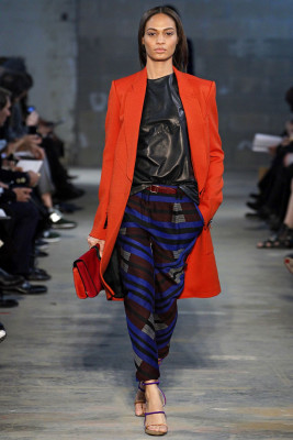 Joan Smalls pic #499217