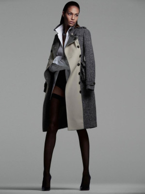 Joan Smalls pic #530882
