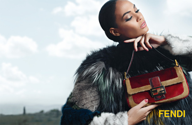 Joan Smalls pic #523563
