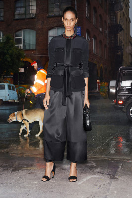 Joan Smalls pic #632541