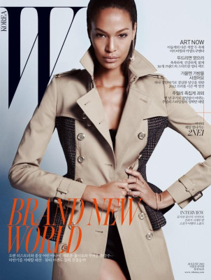 Joan Smalls pic #512148