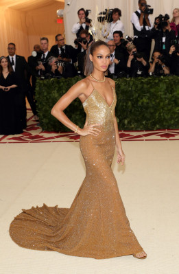 Joan Smalls pic #1035553