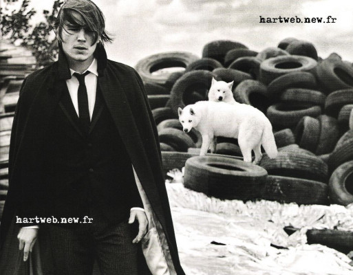 Josh Hartnett pic #71934