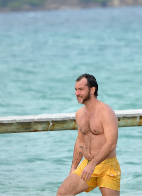 Jude Law pic #544811
