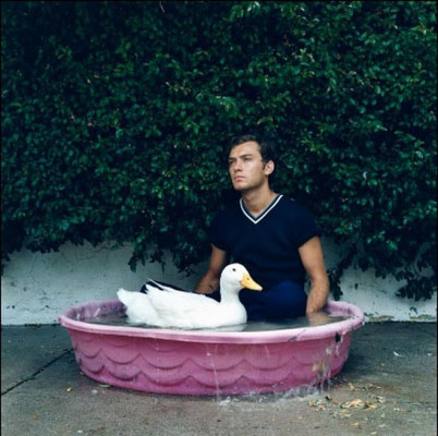 Jude Law pic #47468