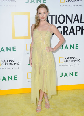 Kate Bosworth pic #970213