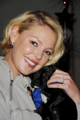 photo 8 in Katherine Heigl gallery [id420939] 2011-11-18 00:00:00