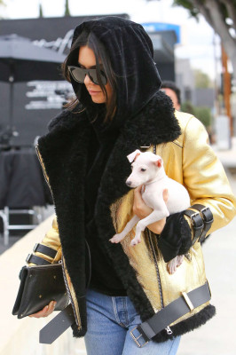 Kendall Jenner pic #900636