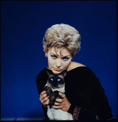 Kim Novak pic #271691