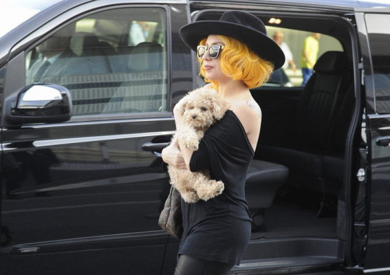 Lady Gaga pic #537665