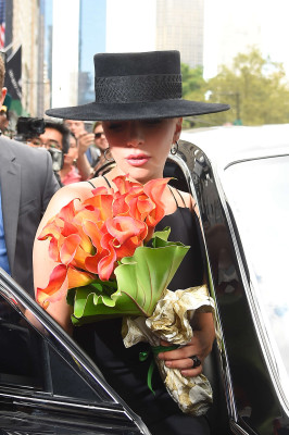 Lady Gaga pic #869751