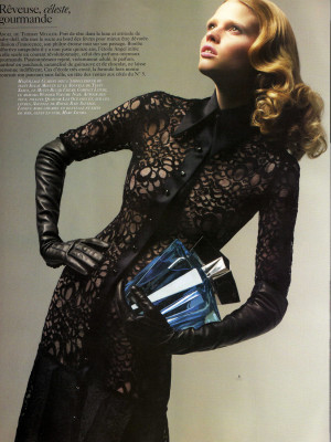 Lara Stone pic #211133