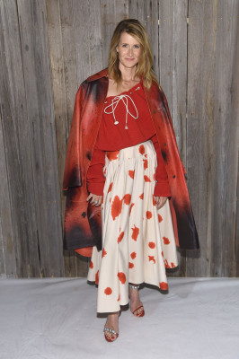 Laura Dern pic #1009968