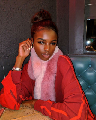 Leomie Anderson pic #1145438