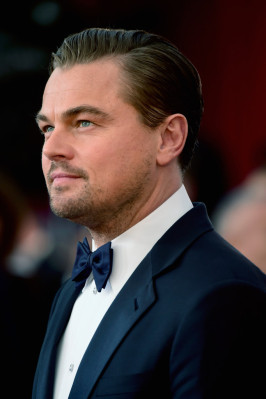 Leonardo DiCaprio pic #831165