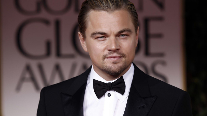 Leonardo DiCaprio pic #834755