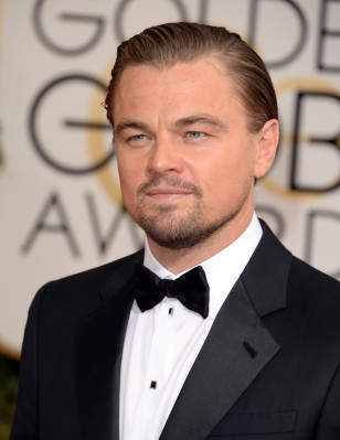 Leonardo DiCaprio pic #824663