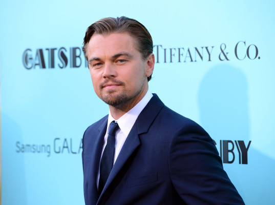 Leonardo DiCaprio pic #610056