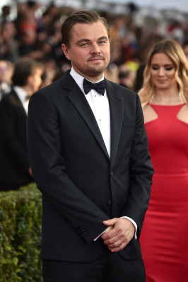 Leonardo DiCaprio pic #831166