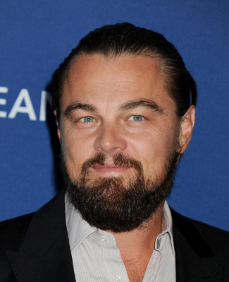 Leonardo DiCaprio pic #767405