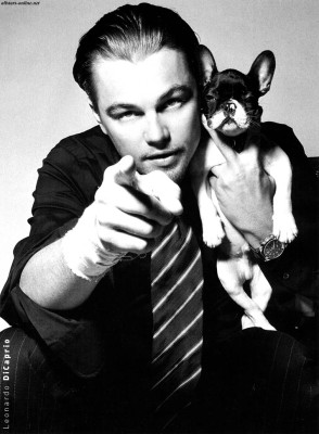 Leonardo DiCaprio pic #29890
