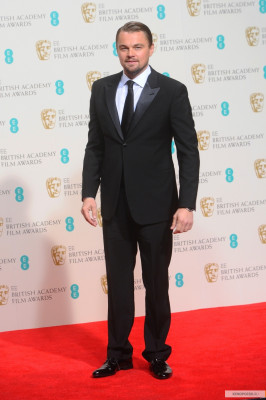 Leonardo DiCaprio pic #834251