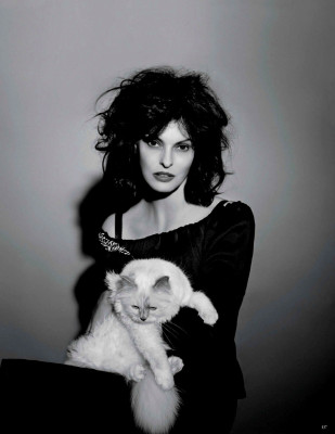 photo 15 in Linda Evangelista gallery [id615885] 2013-07-06 00:00:00
