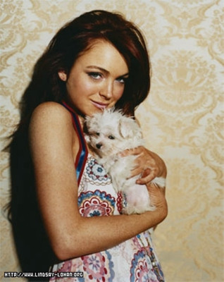 Lindsay Lohan pic #51300