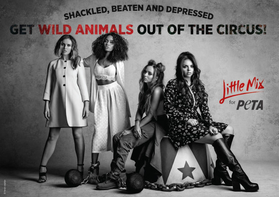 Little Mix pic #1173564