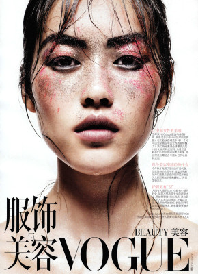 photo 19 in Liu Wen gallery [id315266] 2010-12-15 00:00:00