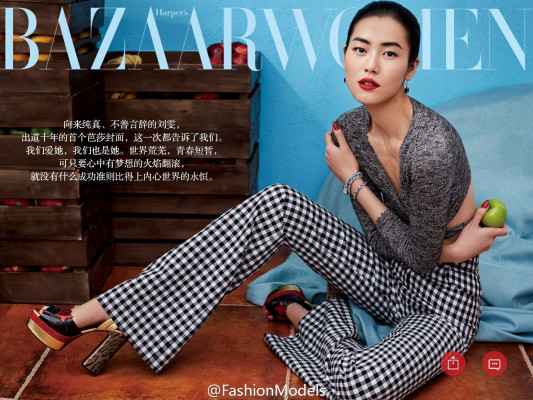 Liu Wen pic #835566