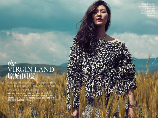 Liu Wen pic #682948