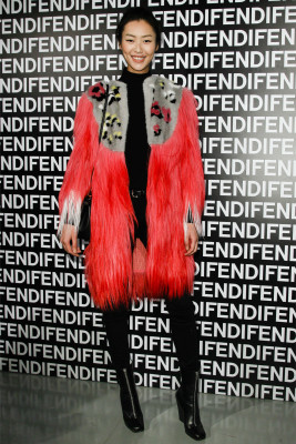 Liu Wen pic #613275