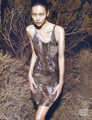 Liu Wen pic #314450