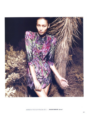 Liu Wen pic #314461