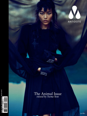 Liu Wen pic #619899
