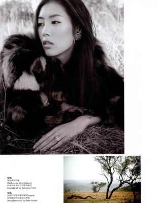 Liu Wen pic #333947