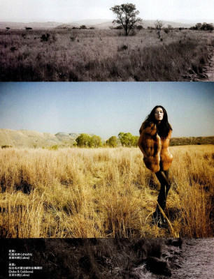 Liu Wen pic #333926