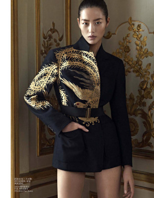 Liu Wen pic #581077