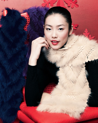 photo 3 in Liu Wen gallery [id239417] 2010-03-01 00:00:00
