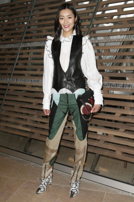 Liu Wen pic #908829