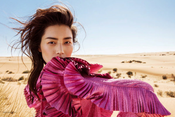 photo 27 in Liu Wen gallery [id915159] 2017-03-10 00:00:00