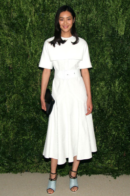 Liu Wen pic #648441