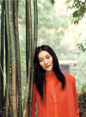 Liu Wen pic #533337