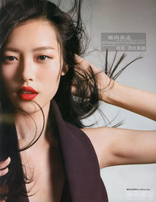 photo 10 in Liu Wen gallery [id330646] 2011-01-21 00:00:00