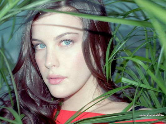 Liv Tyler pic #51114